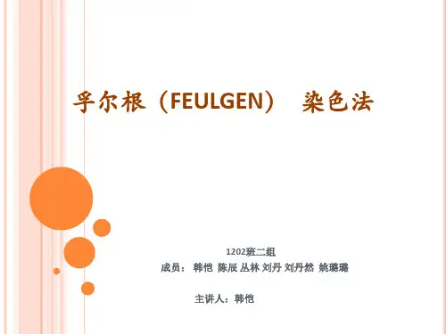孚尔根(FEULGEN)  染色