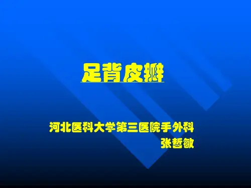足背皮瓣幻灯片