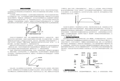 影响光合作用的因素