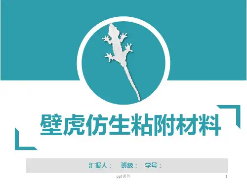 壁虎仿生材料  ppt课件