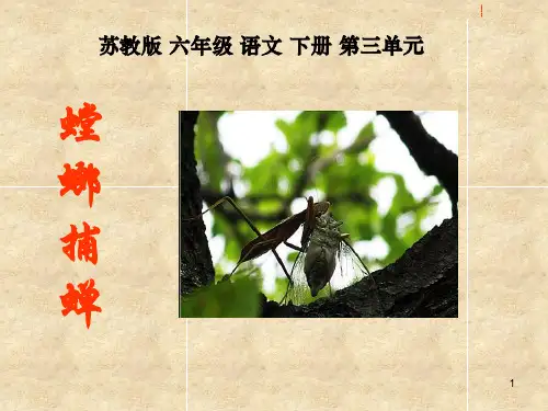 六年级语文下册苏教版10《螳螂捕蝉》