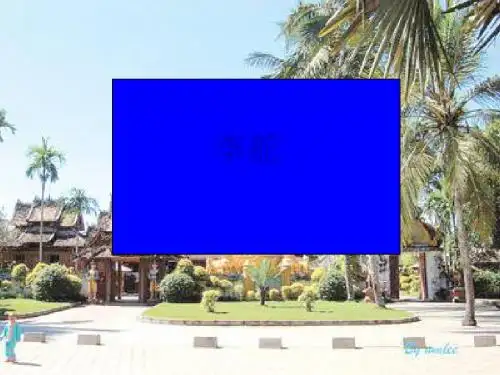美丽的西双版纳PPT17 苏教版