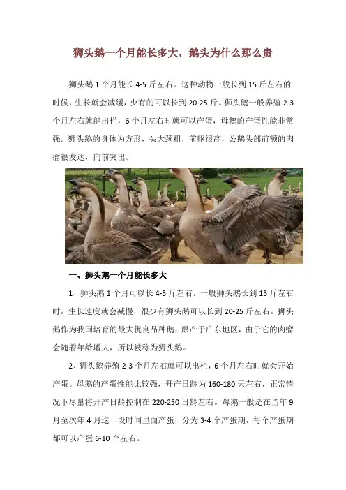 狮头鹅一个月能长多大,鹅头为什么那么贵