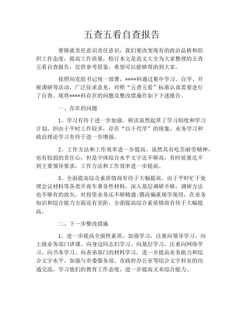 五查五看自查报告