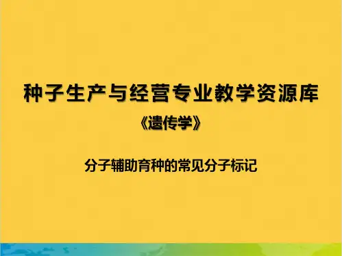 分子辅助育种的常见分子标记全套PPT