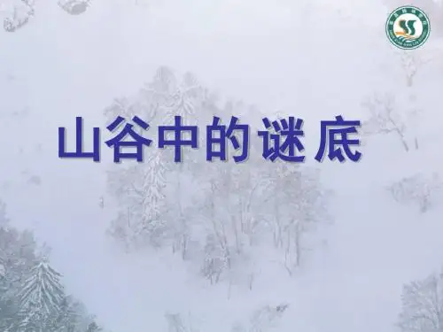 《山谷中的谜底》课件