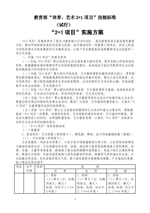 教育部“体育、艺术2+1项目”技能标准