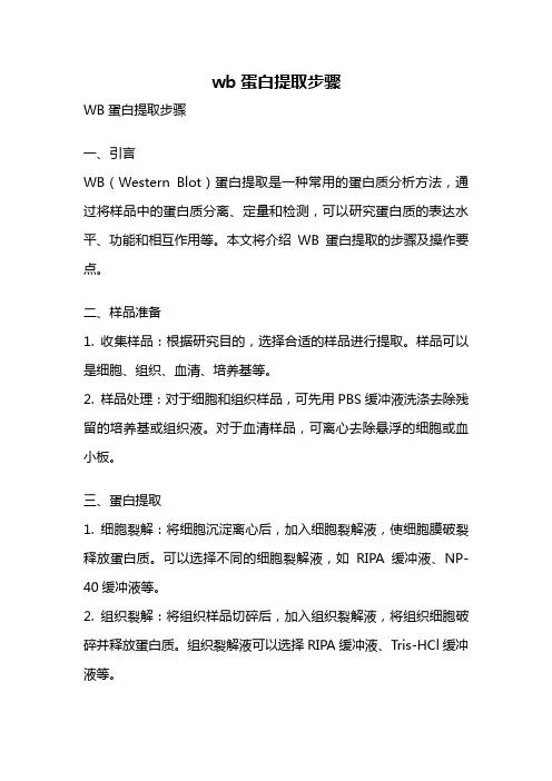 wb蛋白提取步骤