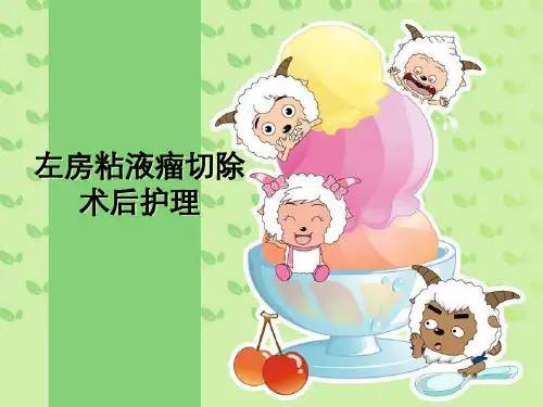 左房粘液瘤切除术后护理精品PPT课件