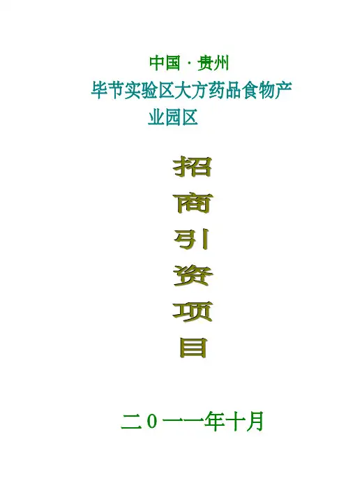 招商引资项目和政策