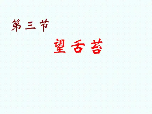 望舌苔