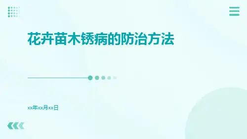 花卉苗木锈病的防治方法