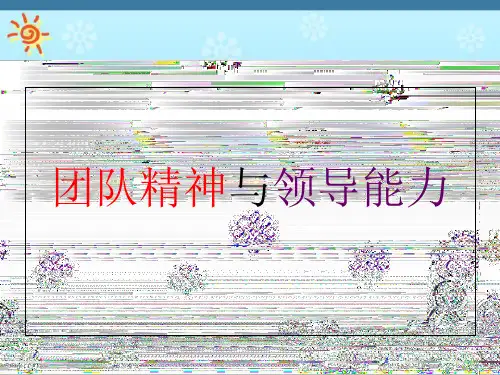 团队建设团队精神与领导能力培训教材