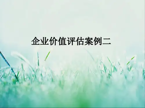 企业价值评估案例