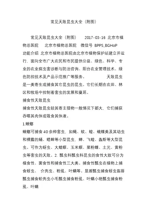 常见天敌昆虫大全(附图)