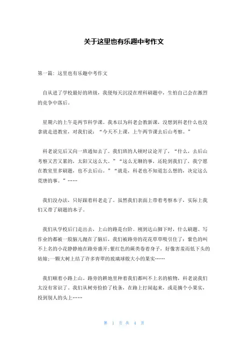 关于这里也有乐趣中考作文