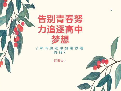 《告别青春努力追逐高中梦想》