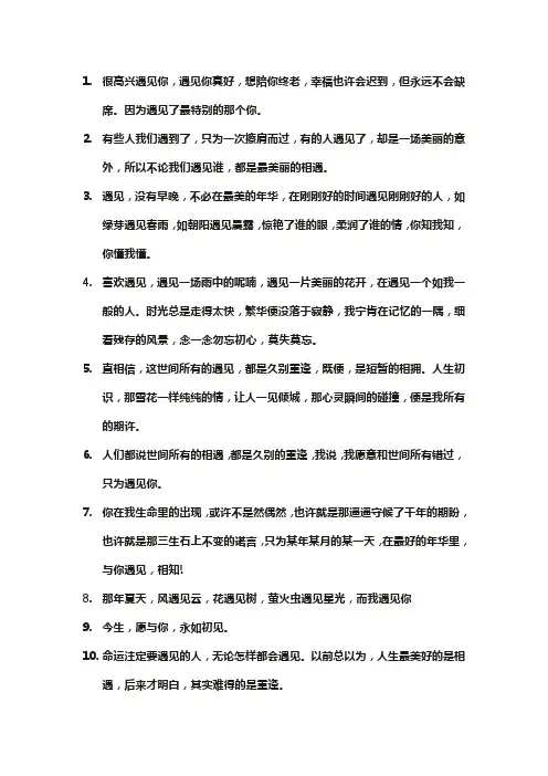 关于遇见的 文案 美好的句子