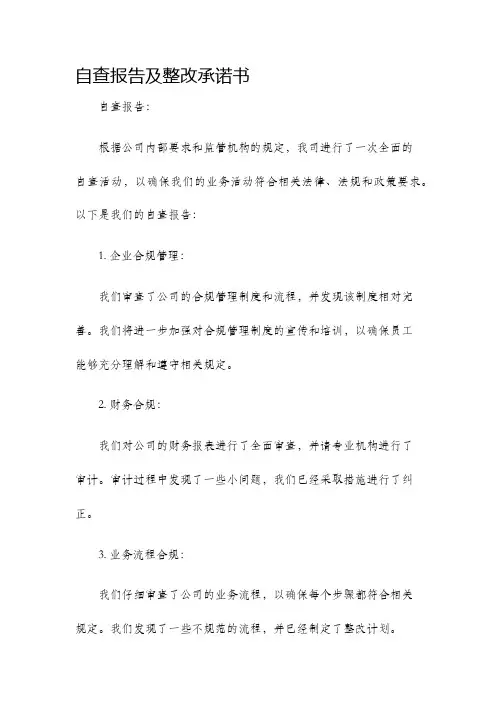 自查报告及整改承诺书