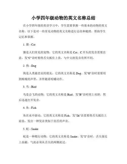 小学四年级动物的英文名称总结