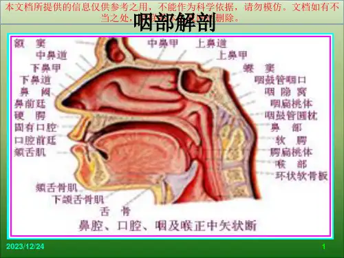儿童腺样体肥大影像表现和诊疗标准培训课件