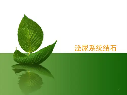 (推荐课件)泌尿系结石PPT幻灯片