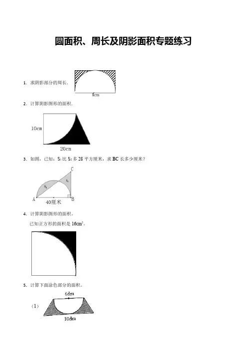 北师大六年级数学上册第一单元圆面积、周长及阴影面积专题附答案