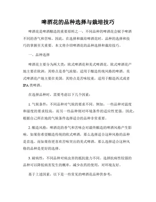 啤酒花的品种选择与栽培技巧
