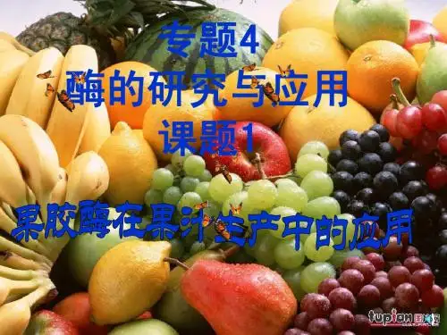 酶的研究与应用