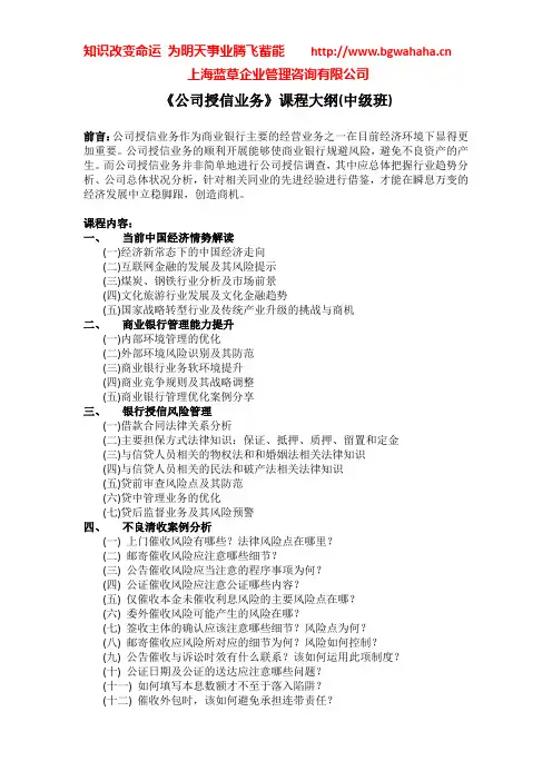 公司授信业务