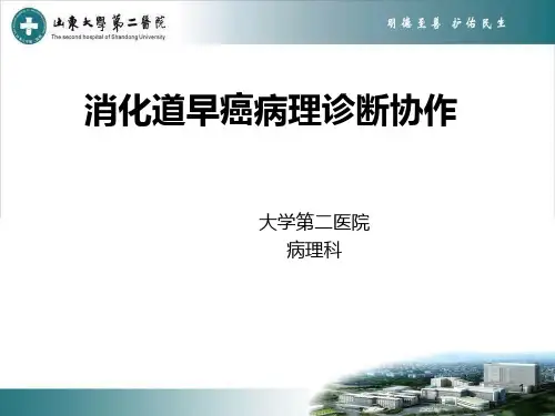 消化道早癌协作PPT课件