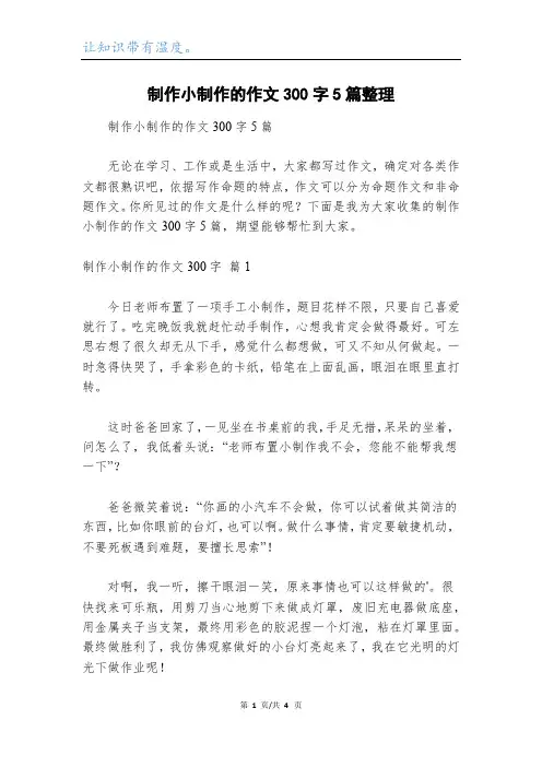 制作小制作的作文300字5篇整理