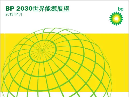 BP2030年世界能源展望()资料精