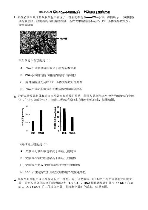 2023~2024学年北京市朝阳区高三上学期期末生物试题