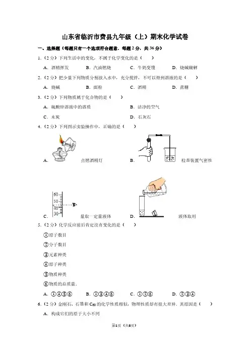 山东省临沂市费县九年级(上)期末化学试卷