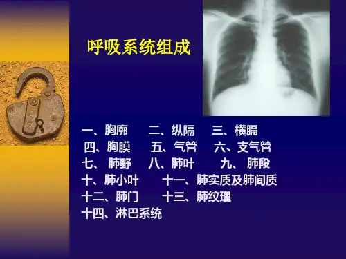 影像呼吸总论基本病变PPT医学课件