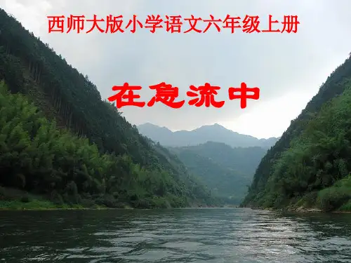 六年级上册语文课件-3.11 在急流中｜西师大版 (共14张PPT)