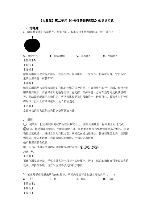 【人教版】第二单元《生物体的结构层次》知识点汇总