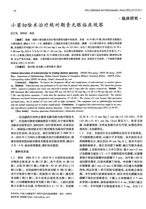小梁切除术治疗绝对期青光眼临床观察