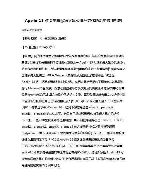 Apelin-13对2型糖尿病大鼠心肌纤维化防治的作用机制
