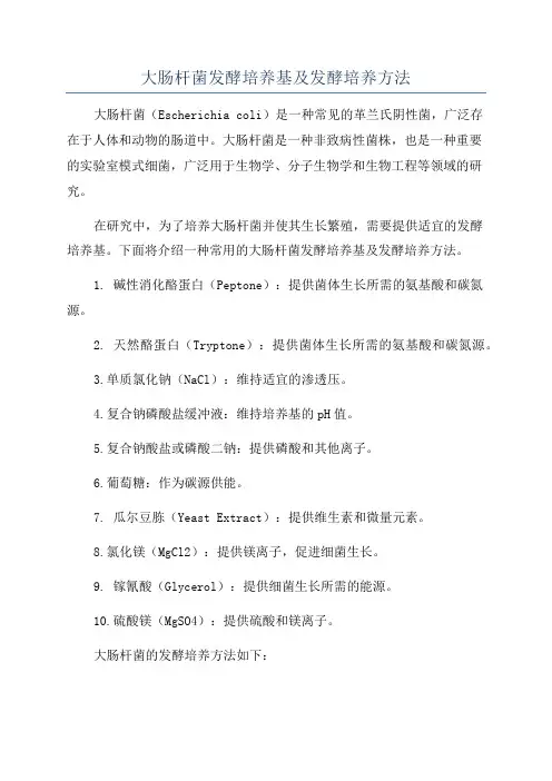 大肠杆菌发酵培养基及发酵培养方法