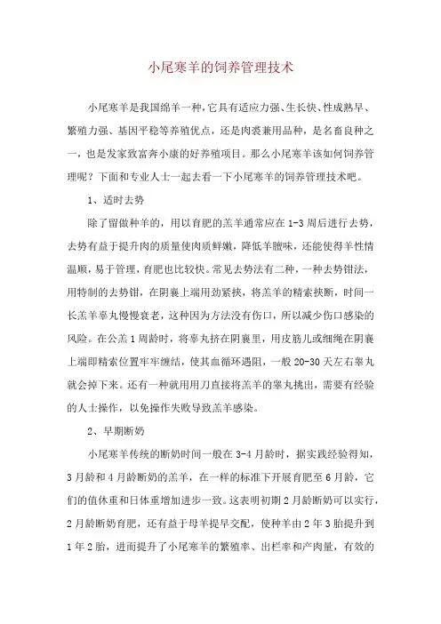 小尾寒羊的饲养管理技术