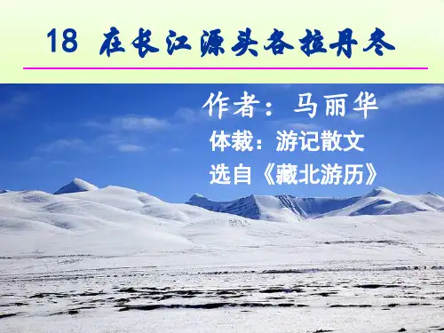 第18课《在长江源头各拉丹冬》 (共41张)  部编版语文八年级下册