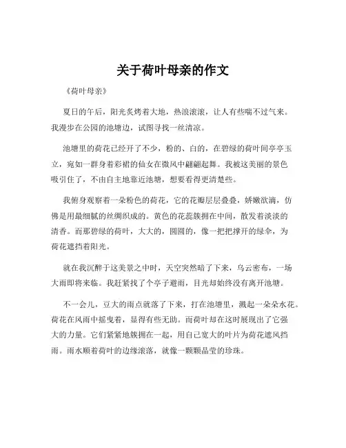 关于荷叶母亲的作文