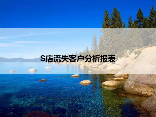 4S店流失客户分析报表