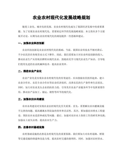 农业农村现代化发展战略规划