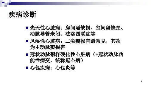 循环系统 先天性心脏病 循环 医学影像诊断课件