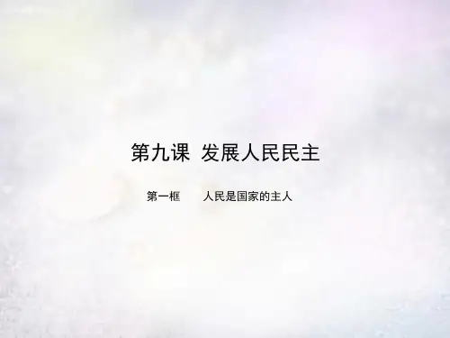 苏教版初三下册政治9.1人民是国家的主人PPT课件(9)