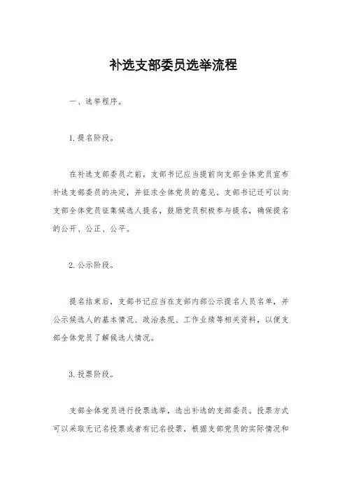 补选支部委员选举流程