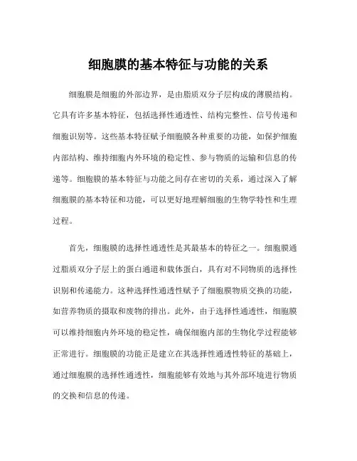 细胞膜的基本特征与功能的关系